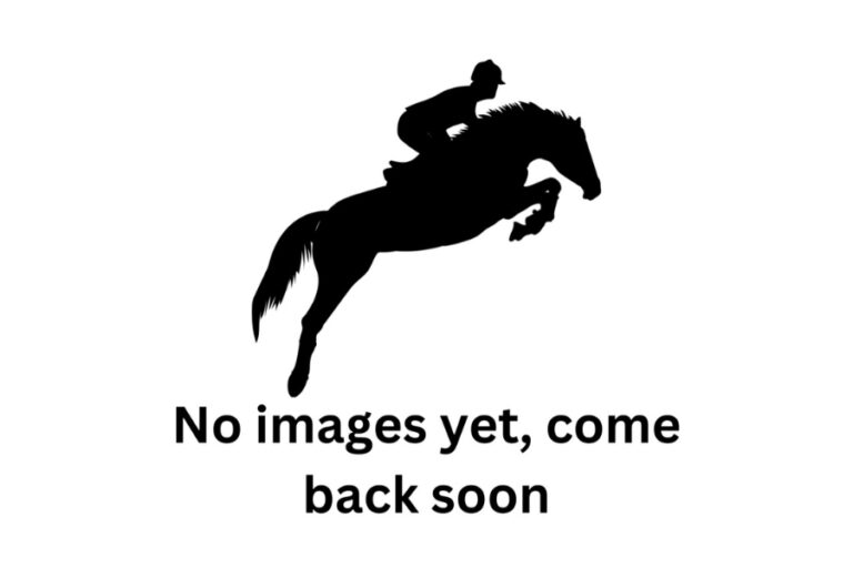 Horse-Riding