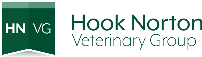 hnvg logo